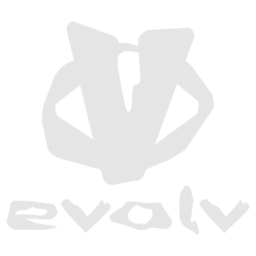 evolv logo